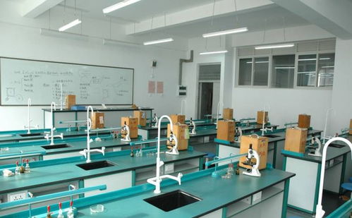 量子鬼才歸國記 一條短信引發(fā)的科技彎道超車